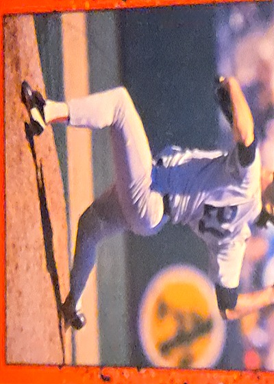 1989 Score #311 Jim Walewander — front
