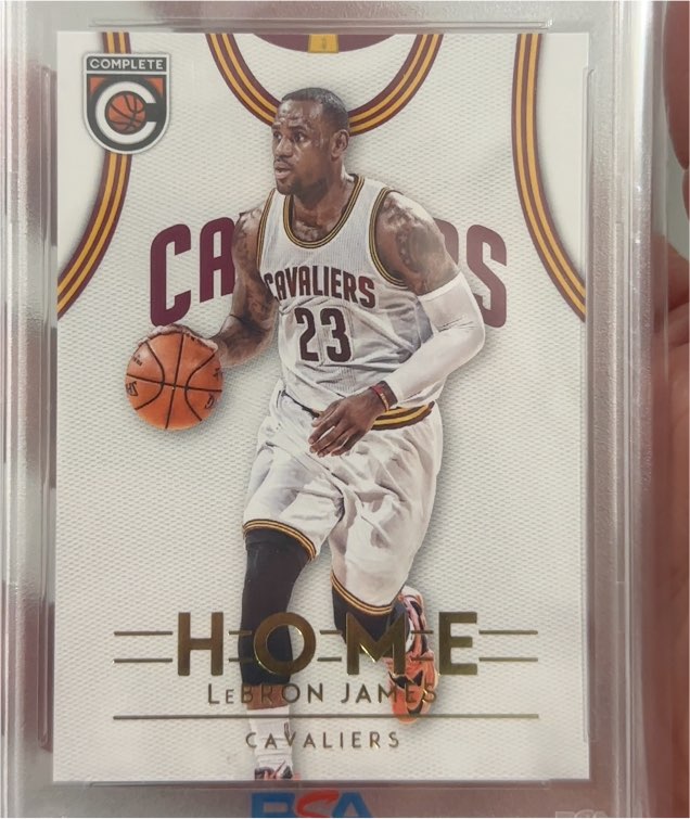 2016-17 Panini Complete #13 LeBron James Home — front
