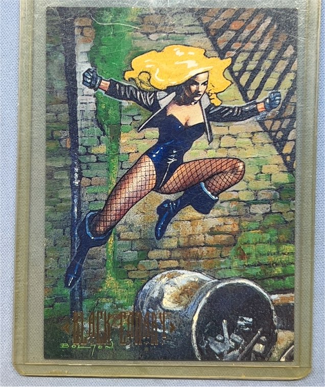1994 SkyBox DC Master Series #87 Black Canary — front