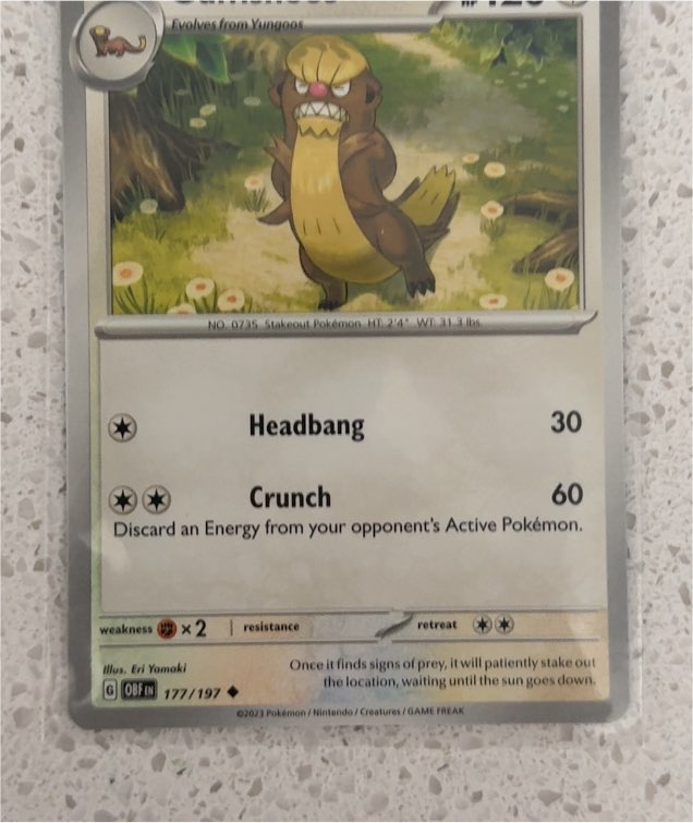 2023 Pokémon Obsidian Flames #177 Gumshoos — front