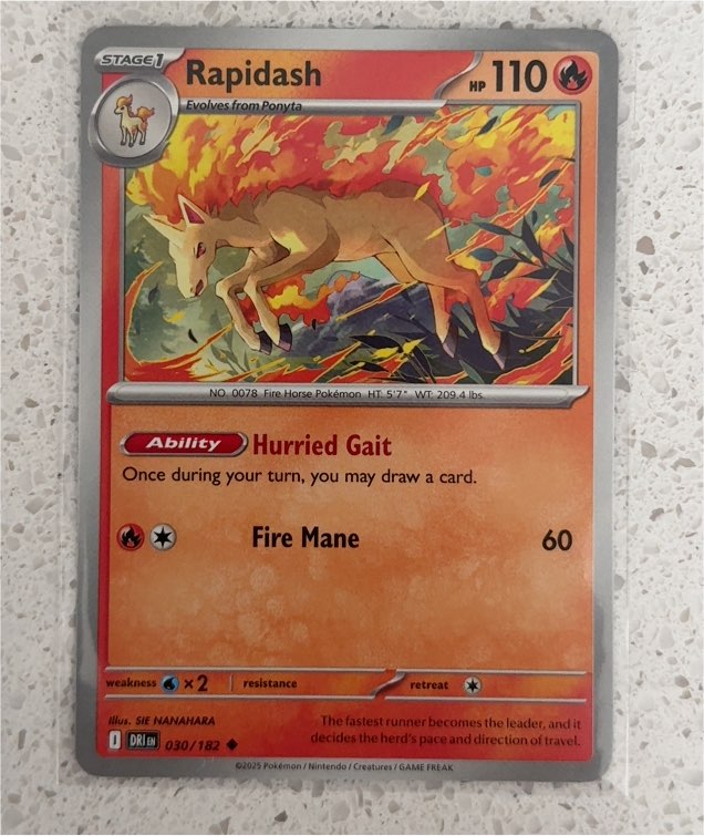 2025 Pokémon #030 Rapidash — front
