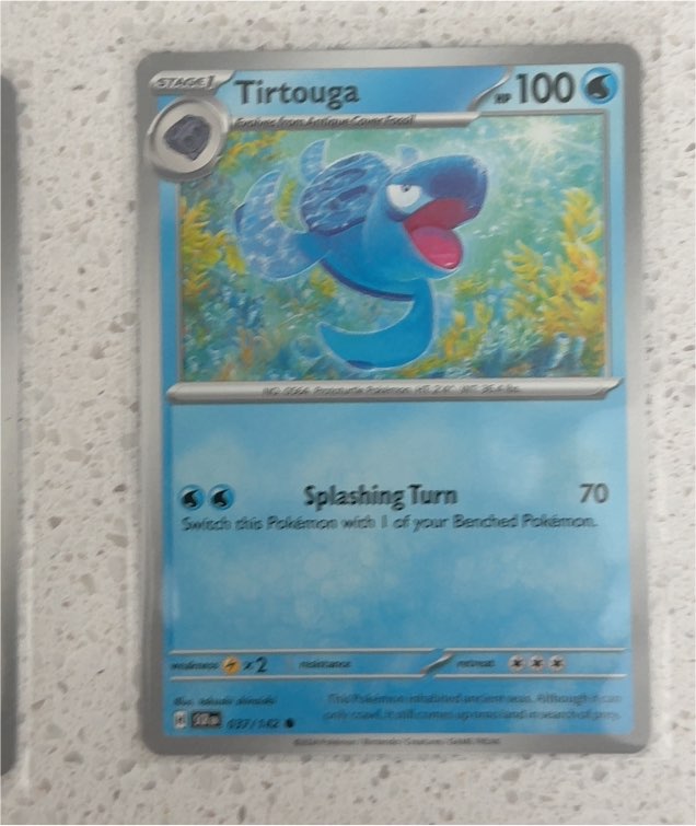 2024 Pokémon TCG Stellar Crown #037 Tirtouga — front