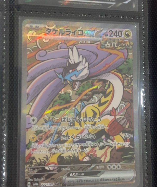 2024 Pokémon Japanese Terastal Festival EX Special Art Rare Raging Bolt EX #222/187 — front