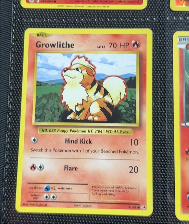 2016 Pokémon XY Evolutions #17 Growlithe — front