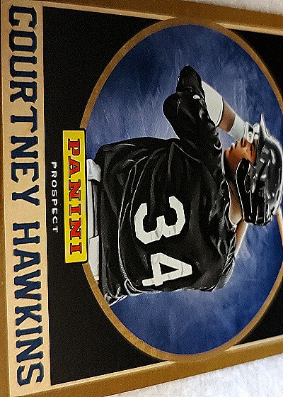 2013 Panini National Convention Diamond Kings #3 Courtney Hawkins — front