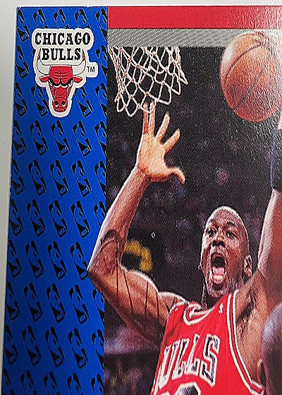 1991 Fleer #29 Michael Jordan — front