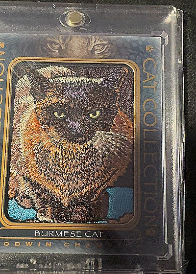 2020 Upper Deck Goodwin Champions #FC-6 Burmese Cat Cat Collection — front