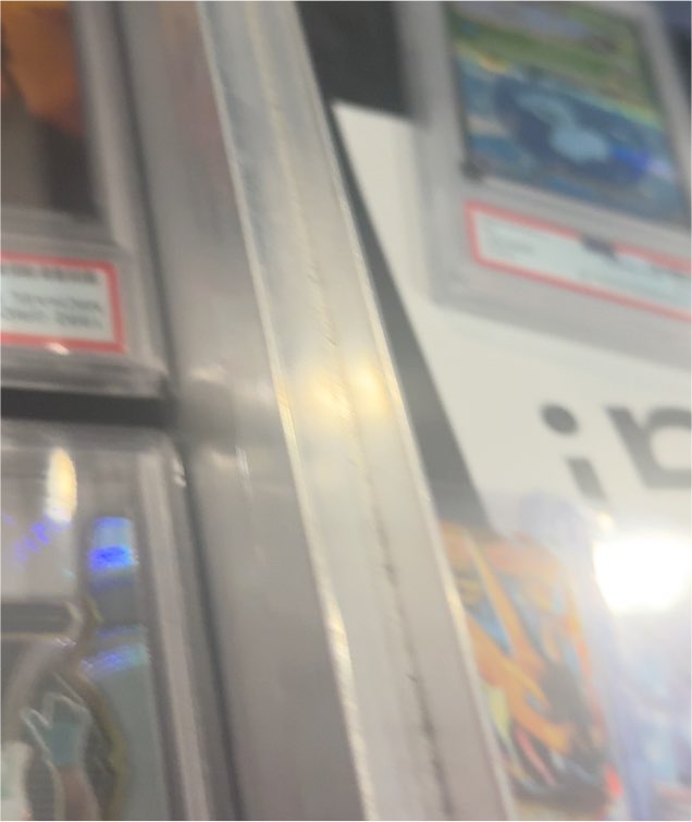 2023 Pokémon Squirtle — front
