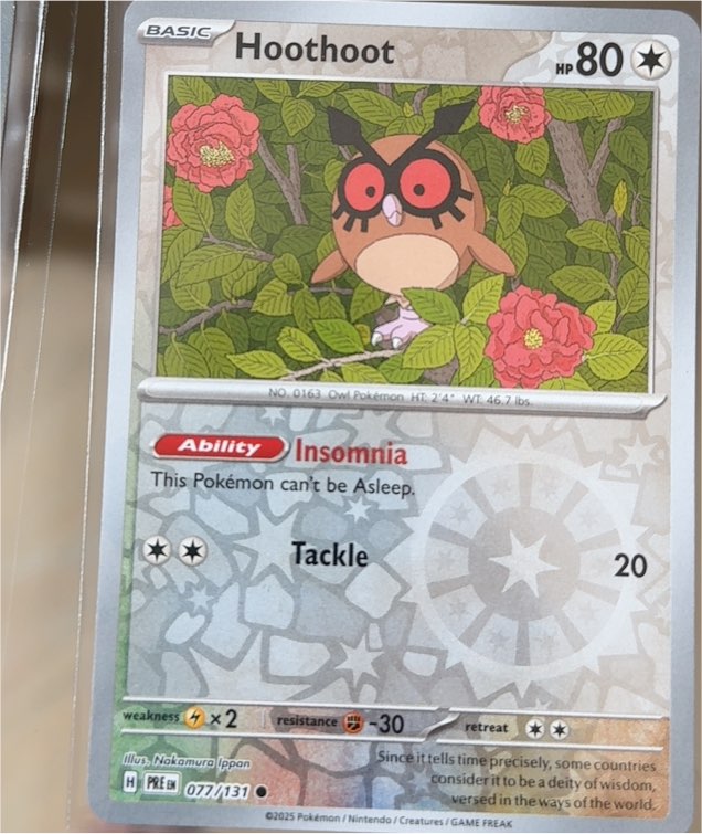 2025 Pokémon Scarlet & Violet Prismatic Evolutions #077 Hoothoot — front