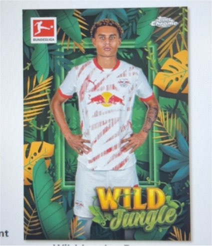 2023 Topps Chrome Bundesliga #547 Wynton Rufer — front
