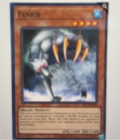 2002 Yu-Gi-Oh! LOB-053 Fenrir — front