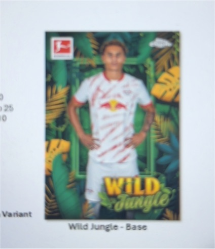 2023 Topps Bundesliga Wild Jungle Base — front