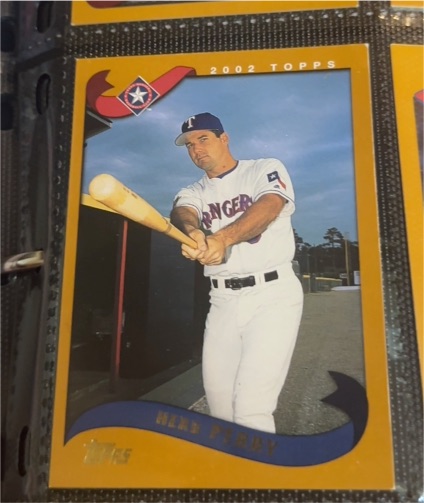2002 Topps #417 Herb Perry — front