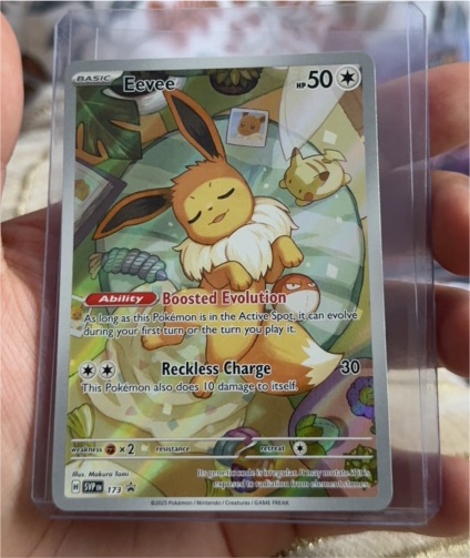 2023 Pokémon Scarlet & Violet Promo #173 Eevee — front