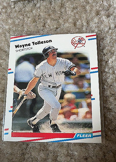 1988 Fleer #223 Wayne Tolleson — front