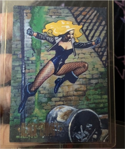 1994 SkyBox Master Series #87 Black Canary — front
