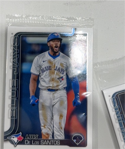 2025 Topps Series 1 #13 Luis De Los Santos — front