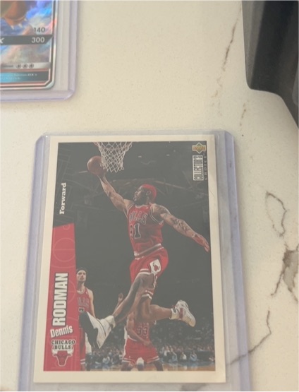 1996-97 Upper Deck Collector's Choice #22 Dennis Rodman — front