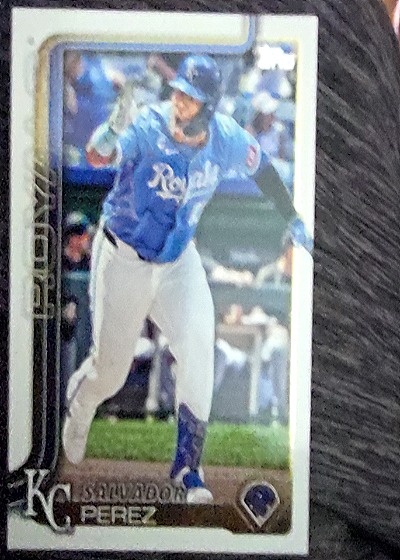 2025 Topps Series 1 #508 Salvador Perez — front