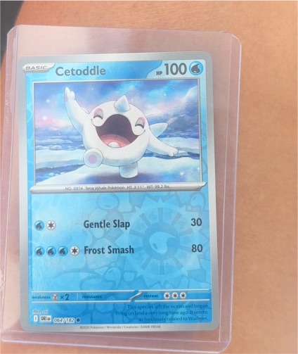 2025 Pokémon SV10: Destined Rivals #064/182 Cetoddle Reverse Holo — front