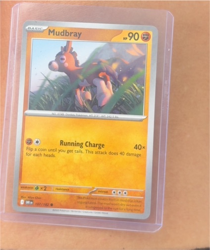 2023 Pokémon Scarlet & Violet Destined Rivals #107 Mudbray — front
