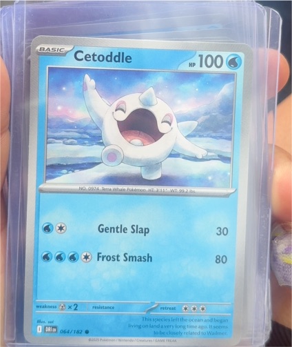 2022 Pokémon SV10: Destined Rivals #064 Cetoddle — front