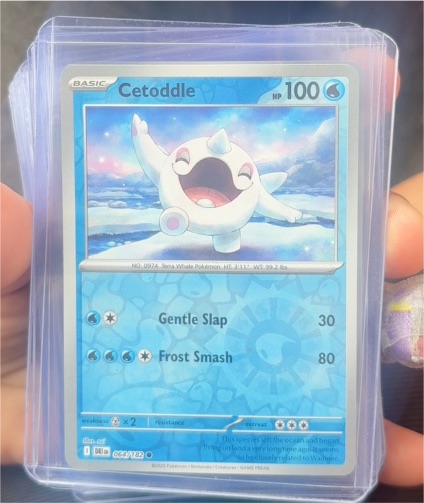 2025 Pokémon SV10: Destined Rivals #064 Cetoddle — front