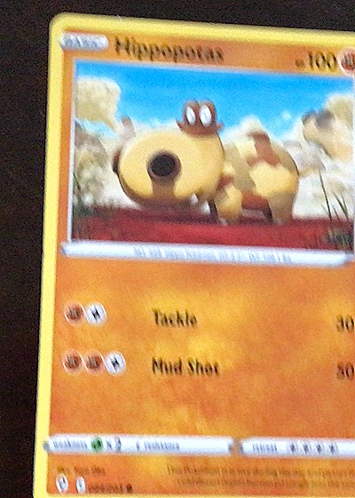 2021 Pokémon TCG Evolving Skies #084 Hippopotas — front