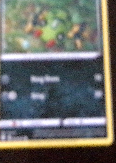 2007 Pokémon Diamond & Pearl #44 Turtwig — front