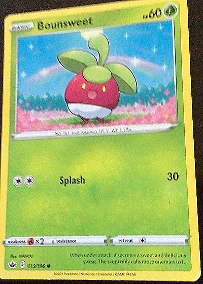 2021 Pokémon Sword & Shield Chilling Reign #13 Bounsweet — front