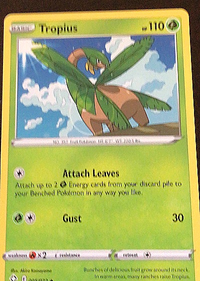 2021 Pokémon Sword & Shield Shining Fates #005 Tropius — front