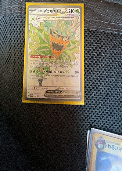 2024 Pokémon SV: Scarlet & Violet Promo #166 Teal Mask Ogerpon ex — front