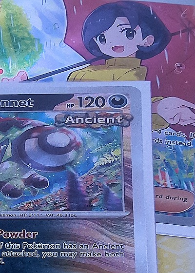 2024 Pokémon TCG #211 Appletun — front