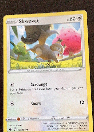 2021 Pokémon Sword & Shield Chilling Reign #127 Skwovet — front