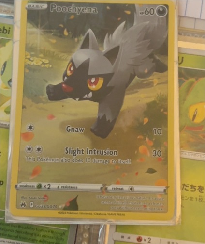 2023 Pokémon Crown Zenith GG33 Poochyena — front