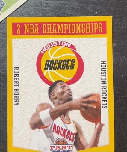 2012-13 Panini Past & Present Championship Banners #9 Robert Horry — front