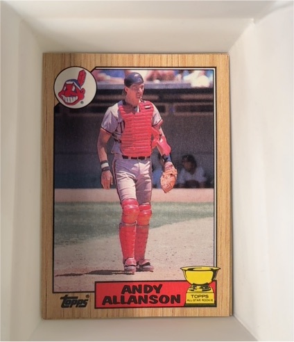 1987 Topps #436 Andy Allanson — front