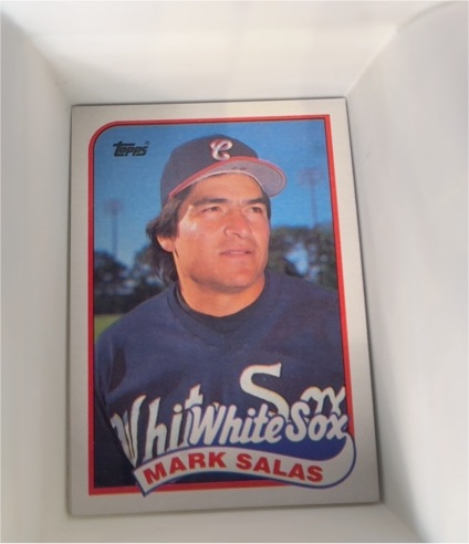 1989 Topps #384 Mark Salas — front