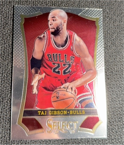 2013-14 Panini Select #151 Taj Gibson — front