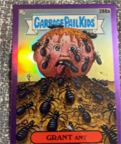 2024 Topps Garbage Pail Kids Chrome Series 7 #288a Grant Ant — front
