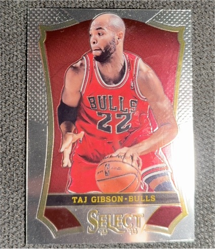 2013-14 Panini Select #6 Taj Gibson — front