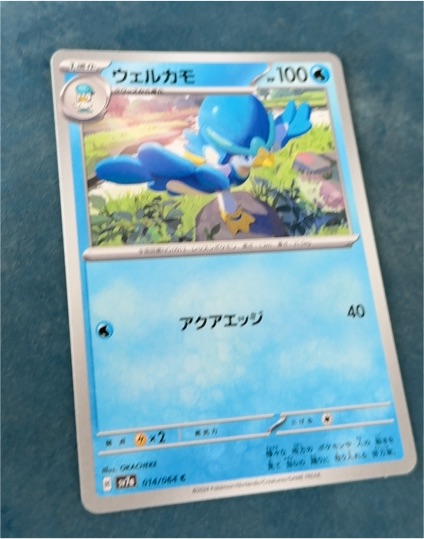 2024 Pokémon Paradise Dragona #014 Quaxwell — front