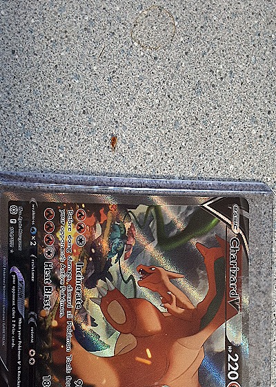 2022 Pokémon Scarlet & Violet Promo #161 Charizard V — front