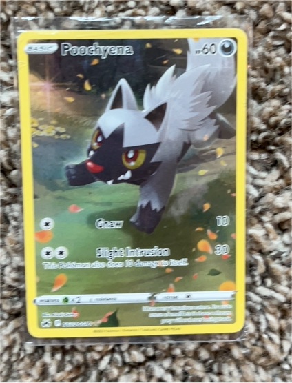 2023 Pokémon Crown Zenith #GG33/GG70 Poochyena — front