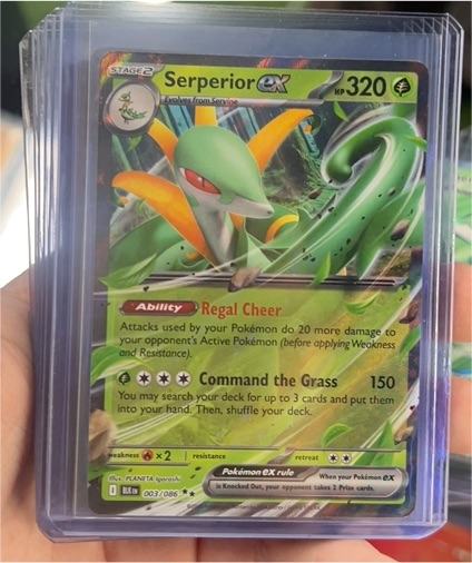 2023 Black Bolt Serperior ex #003/086 — front