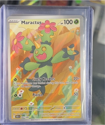 2025 Pokémon Scarlet & Violet #093 Maractus — front