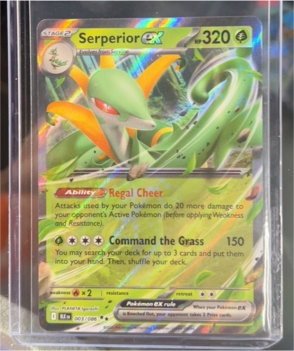 2025 Black Bolt #003 Serperior EX — front