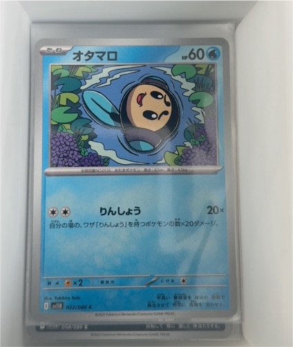 2023 Pokémon SV11B #022 Tympole — front