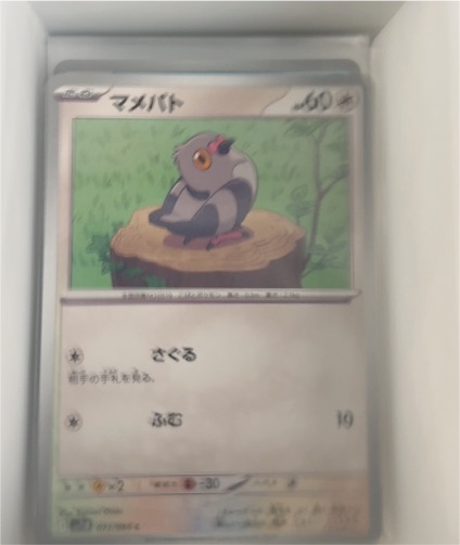 2025 Pokémon #073 Pidove — front