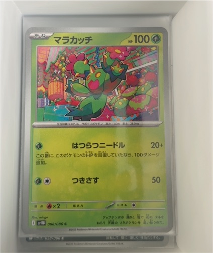 2025 Pokémon Scarlet Violet #008 Maractus — front